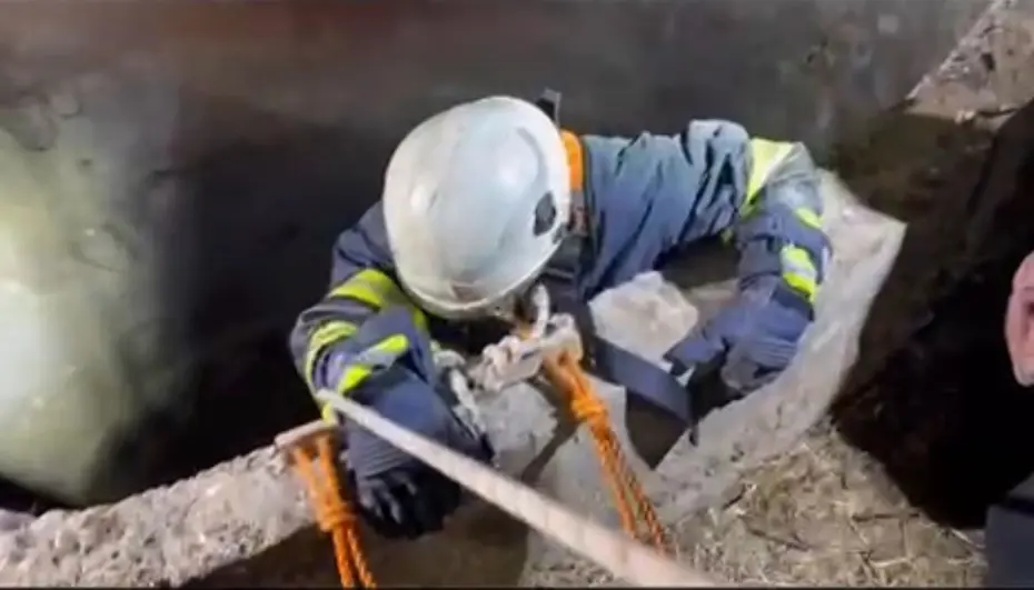 Su kuyusuna düşen çakalı itfaiye kurtardı