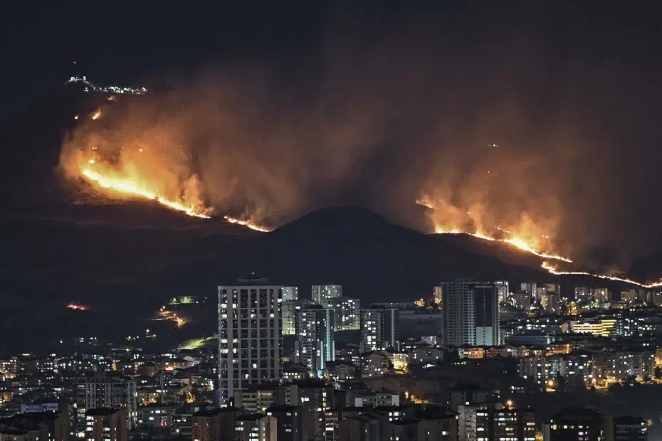 Ankara’da ağaçlık alanda yangın. Bir kişi gözaltına alındı