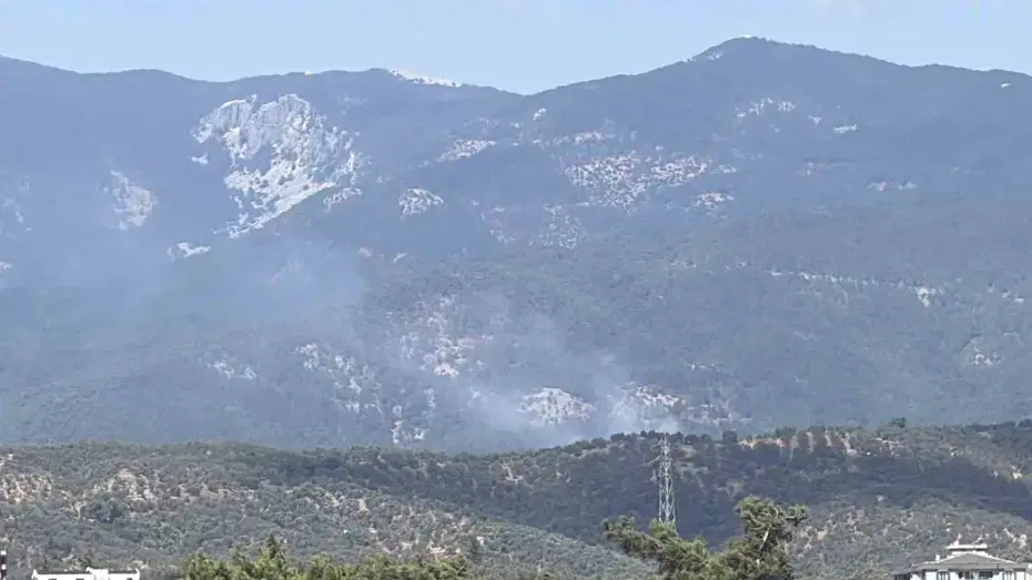 Balıkesir Edremit’te orman yangını. Ekipler müdahale ediyor