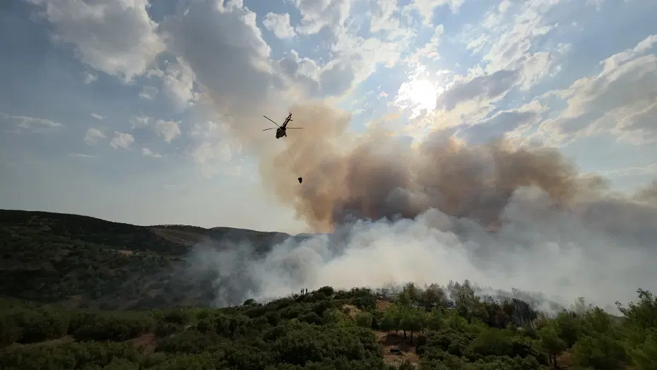 Manisa ve Edirne’de orman yangını. Havadan ve karadan müdahale sürüyor