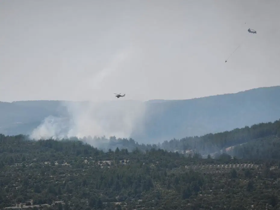 Muğla Menteşe’deki orman yangını kontrol altında