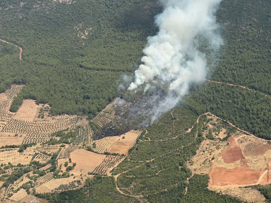 Muğla Yatağan’da orman yangını. Ekipler müdahale ediyor