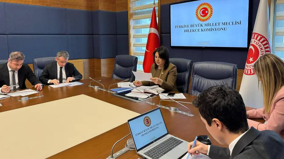TBMM Dilekçe Komisyonu’na ilginç talepler. “İstanbul kışlık, Ankara yazlık başkent olsun”