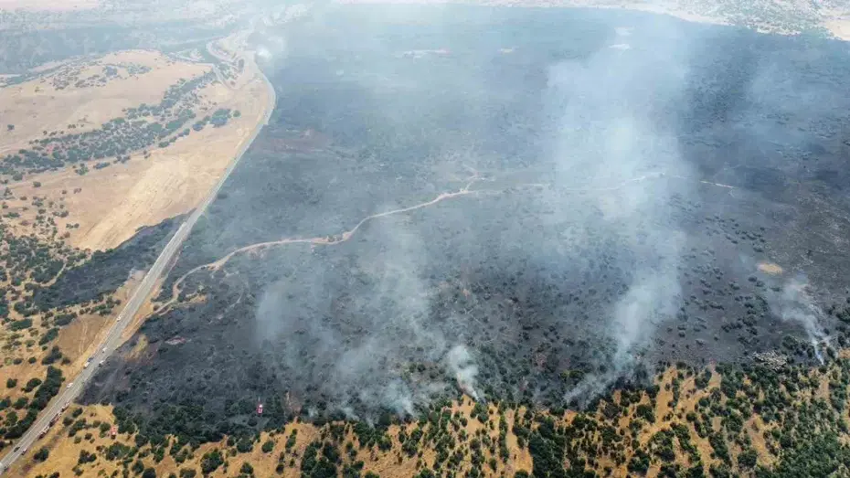 Elazığ’da orman yangını. Ekipler müdahale ediyor